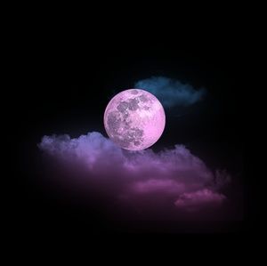 Meet your Posher, Chavone